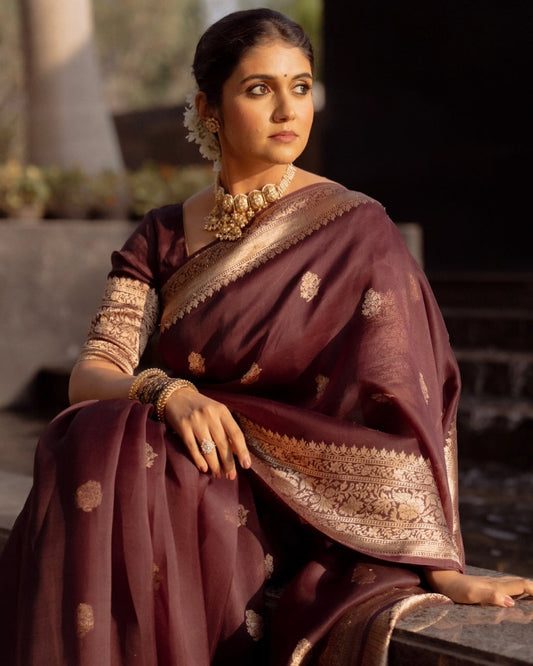 Royal Brown Banarasi Organza Silk Saree