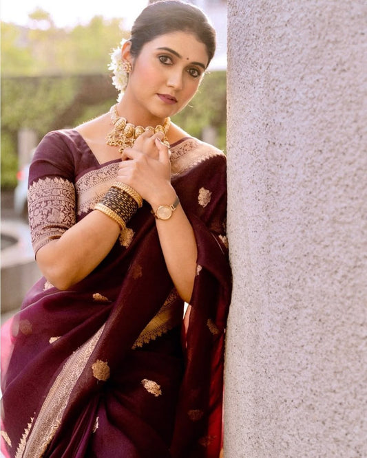 Royal Brown Banarasi Organza Silk Saree