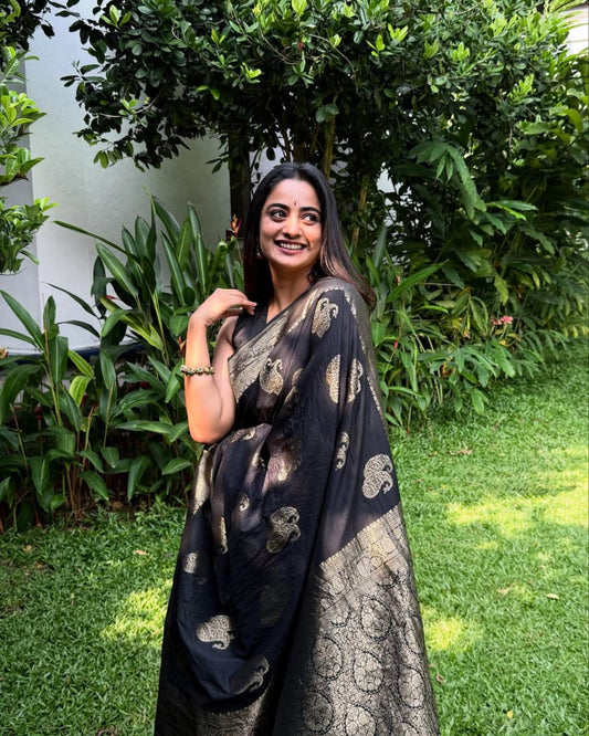 Black Banarasi Soft Silk Saree with Rich Gold Zari Work