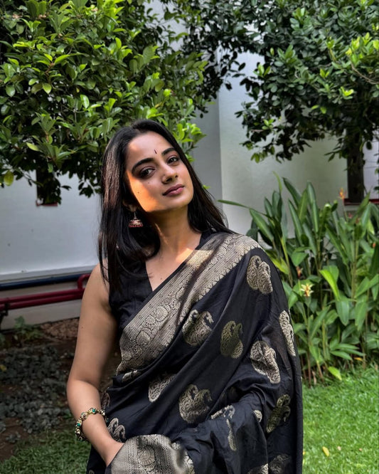 Black Banarasi Soft Silk Saree with Rich Gold Zari Work