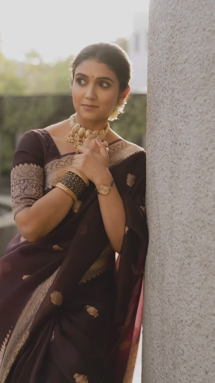 Royal Brown Banarasi Organza Silk Saree