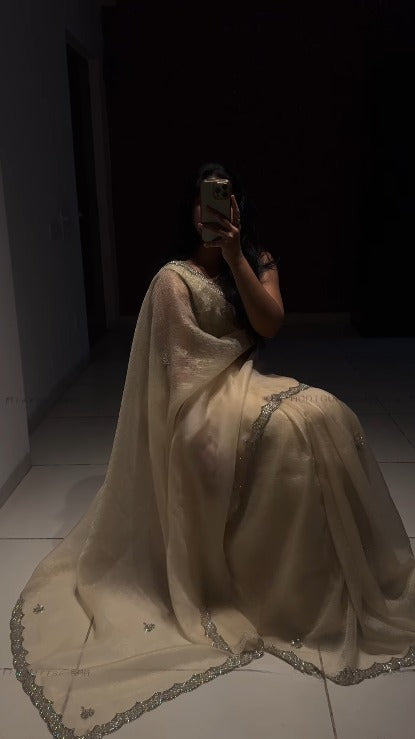 Timeless Elegance in Organza Sartin with Zarkan Work
