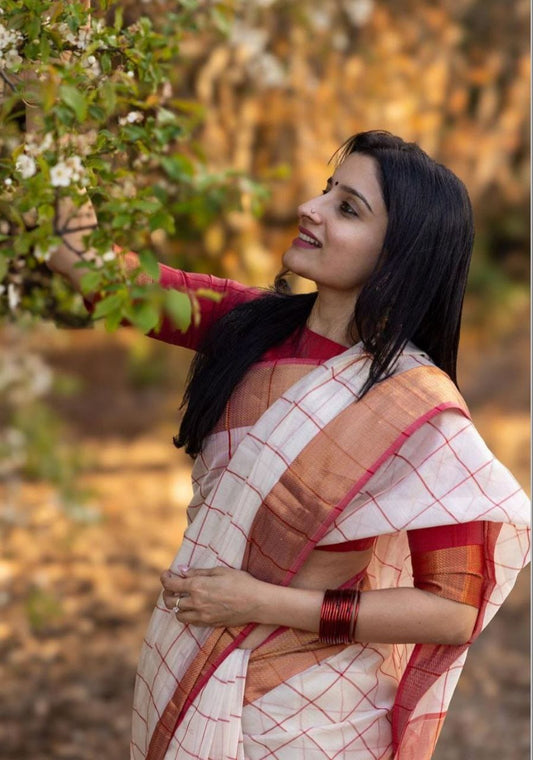 Graceweave Handloom Checks Saree with Lustrous Border