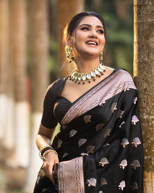 Elegant Black Banarasi Soft Silk Saree with Silver Zari Work