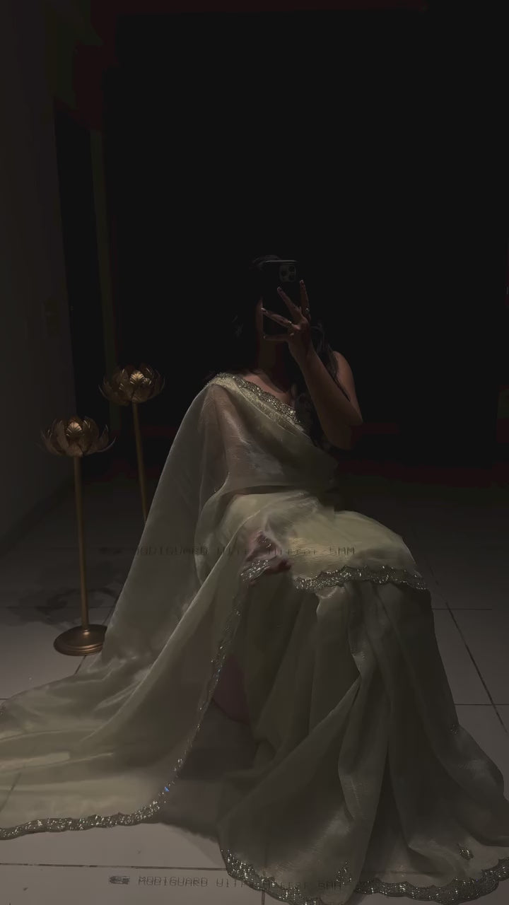 Timeless Elegance in Organza Sartin with Zarkan Work